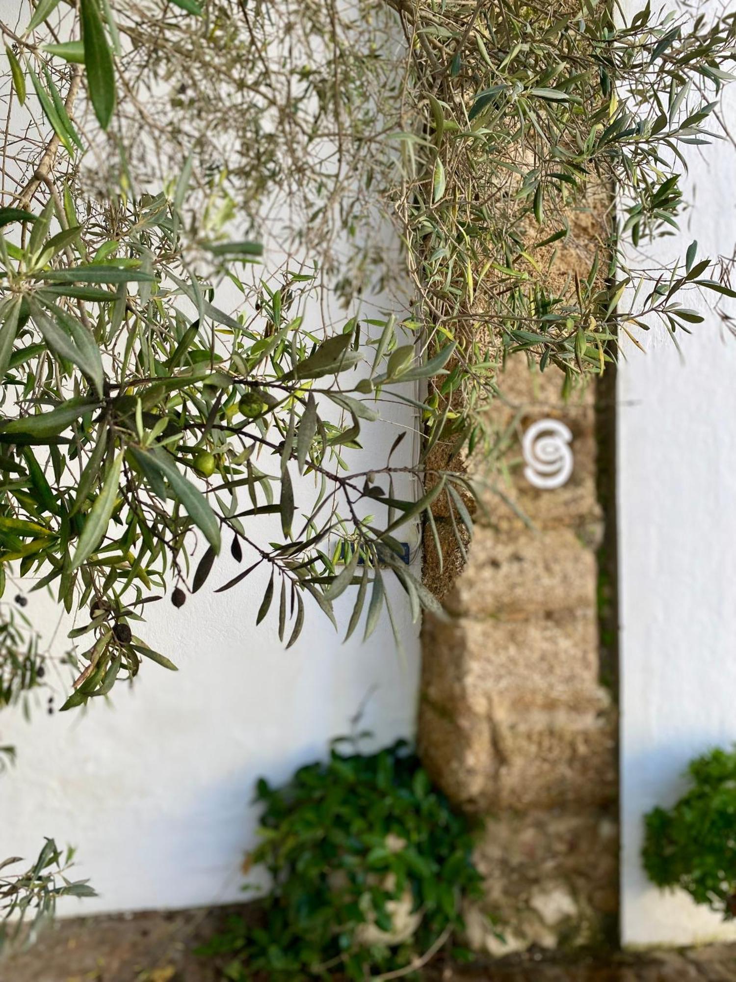 Cortijo De Guerra Country house Puerto Real